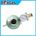Low Pressure Gas Regulator